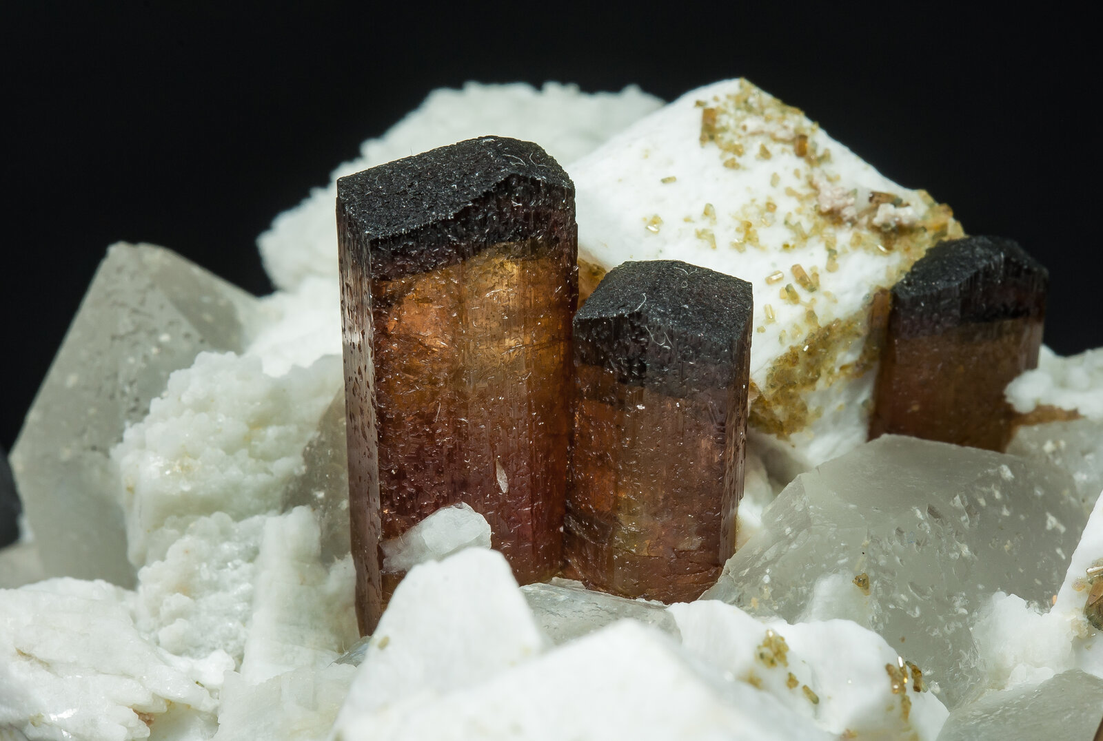 specimens/s_imagesAP9/Elbaite-Schorl-MXB68AP9d.jpg