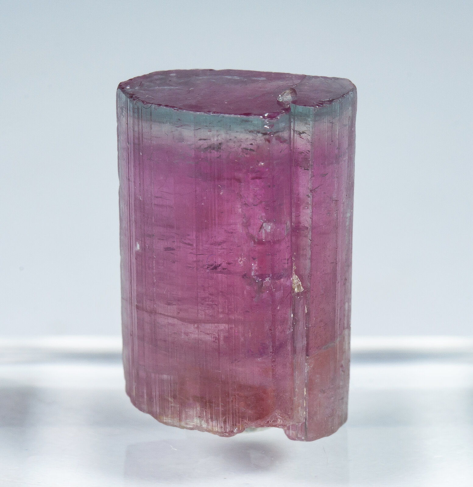 specimens/s_imagesAP9/Elbaite-TFX47AP9f.jpg