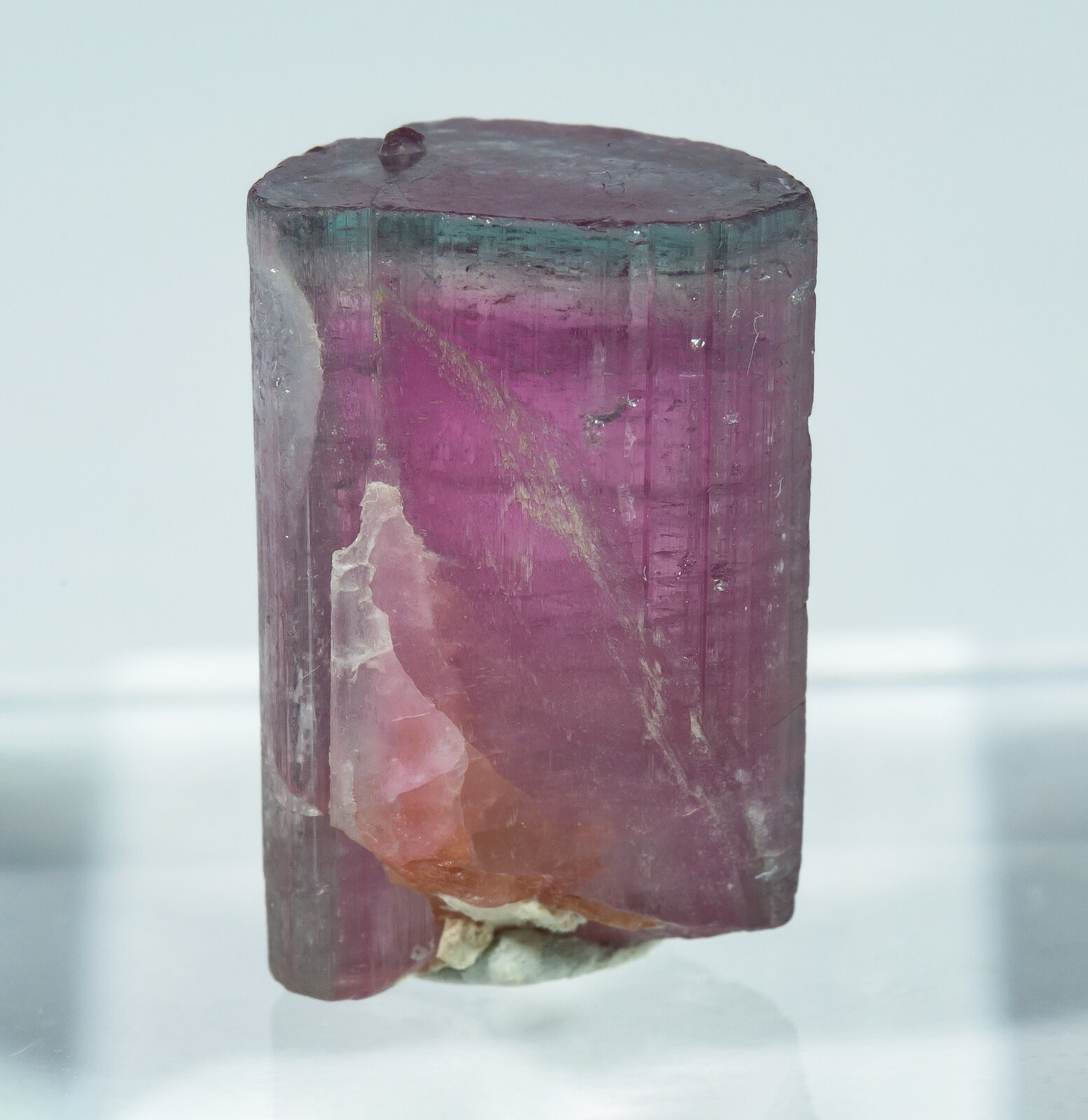 specimens/s_imagesAP9/Elbaite-TFX47AP9r.jpg