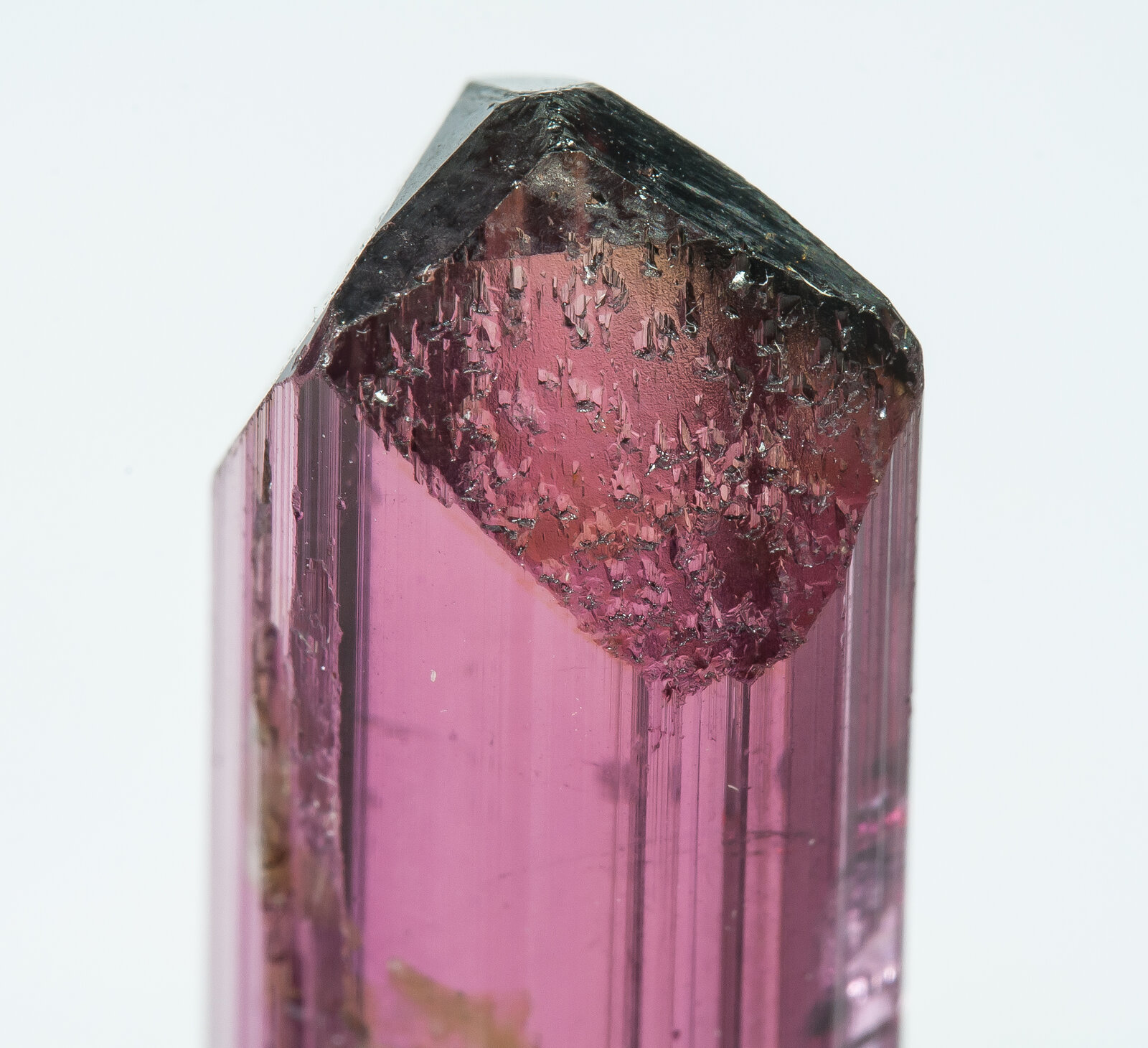 specimens/s_imagesAP9/Elbaite-TMR74AP9t.jpg