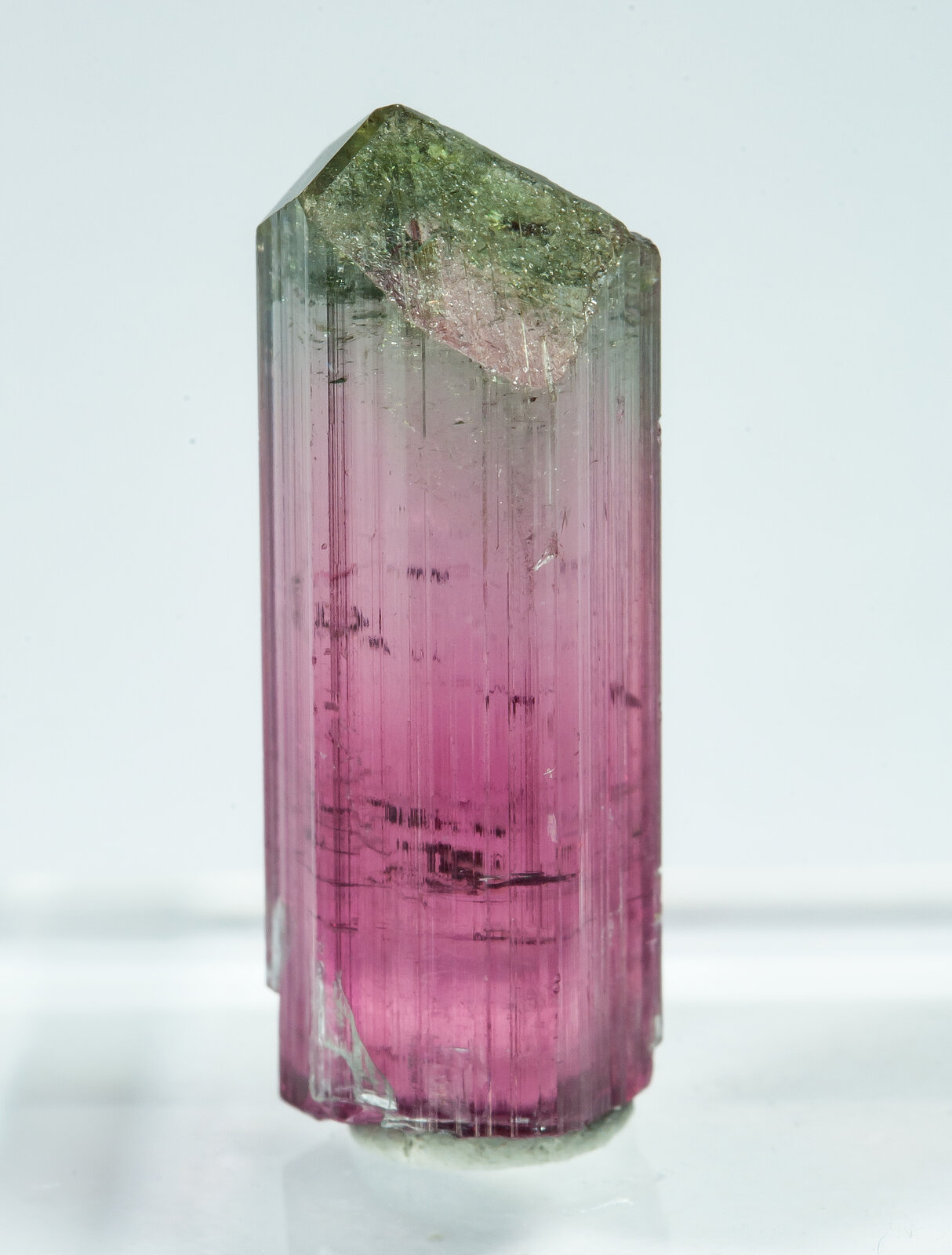 specimens/s_imagesAP9/Elbaite-TXM98AP9s.jpg