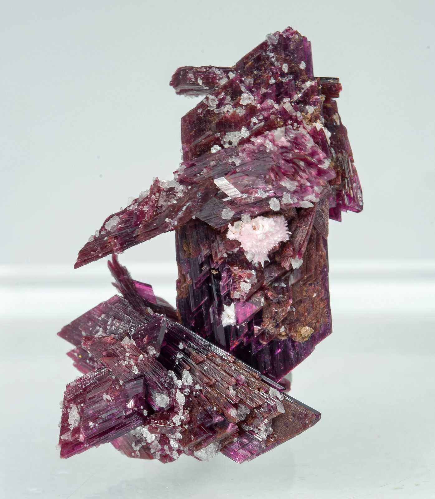 specimens/s_imagesAP9/Erythrite-TBC47AP9r.jpg