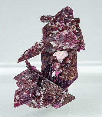 Erythrite. Rear