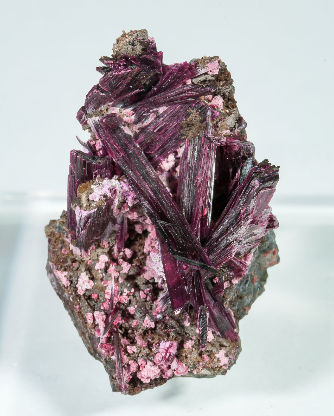 specimens/s_imagesAP9/Erythrite-TBE37AP9f.jpg