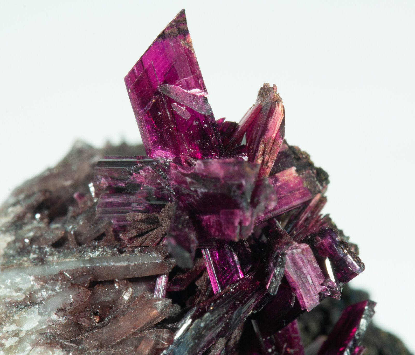 specimens/s_imagesAP9/Erythrite-TBF67AP9d2.jpg