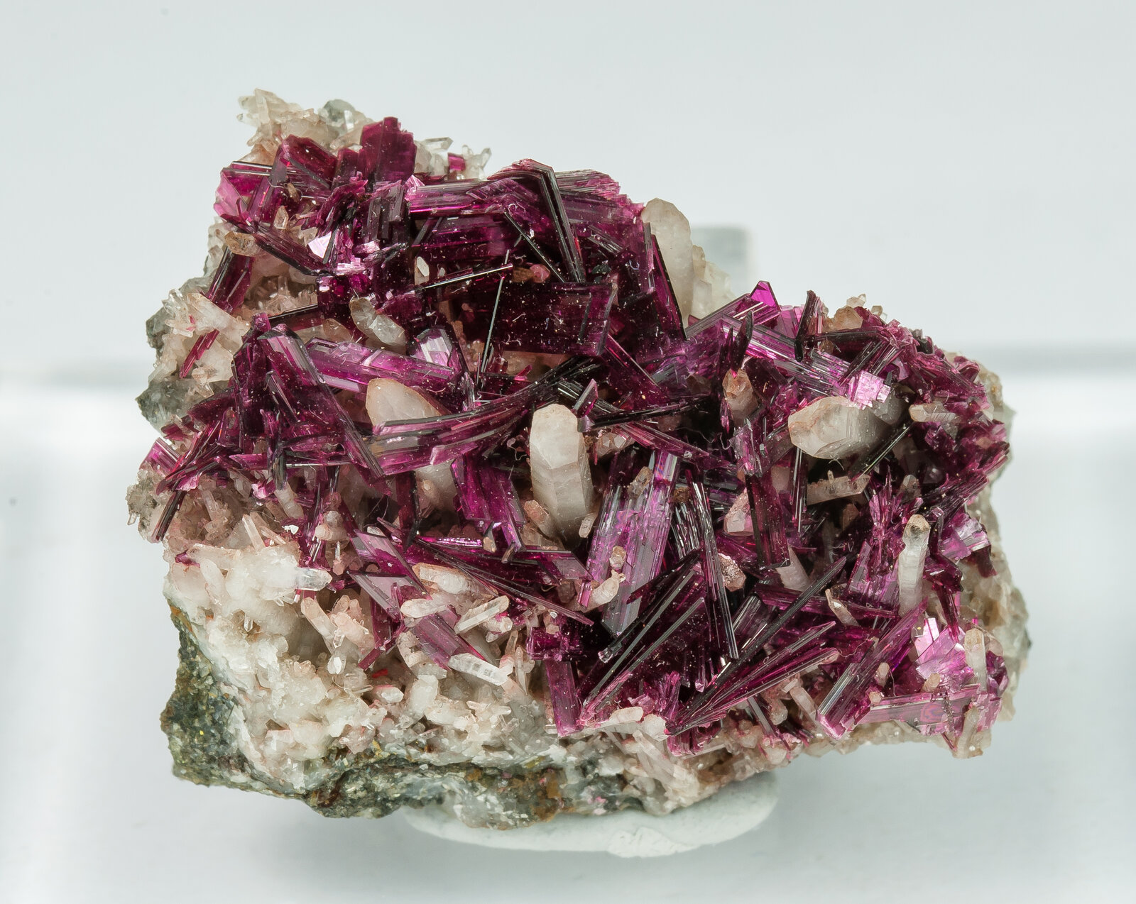 specimens/s_imagesAP9/Erythrite-TBG67AP9f.jpg