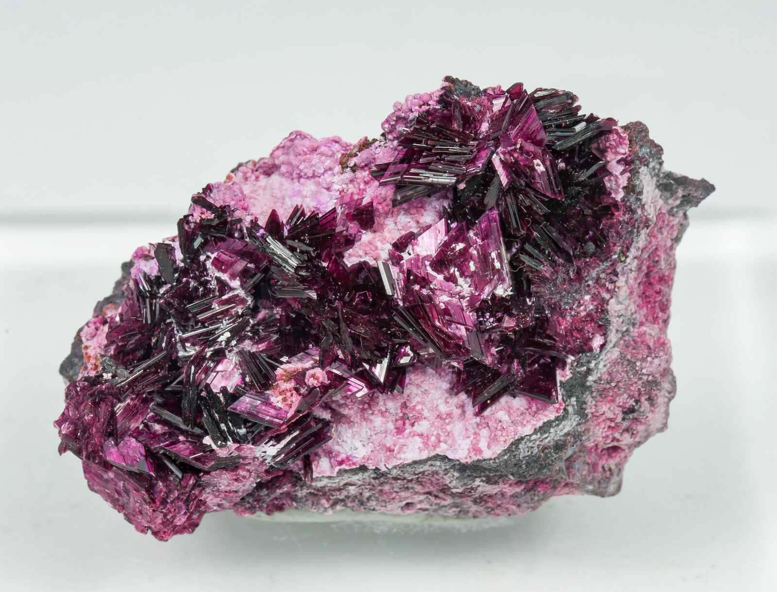 specimens/s_imagesAP9/Erythrite-TBR47AP9f.jpg