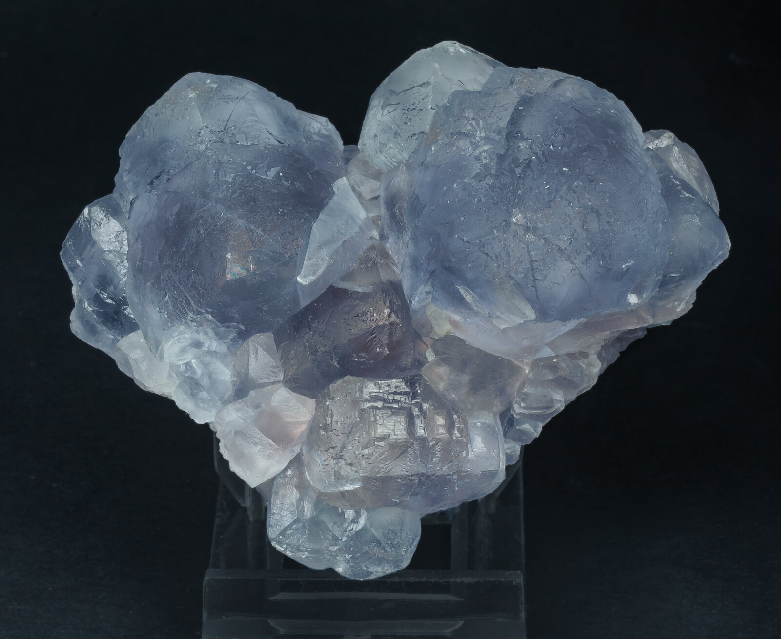 specimens/s_imagesAP9/Fluorite-GNX46AP9f.jpg