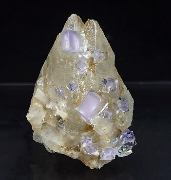 Fluorite with Calcite. Front