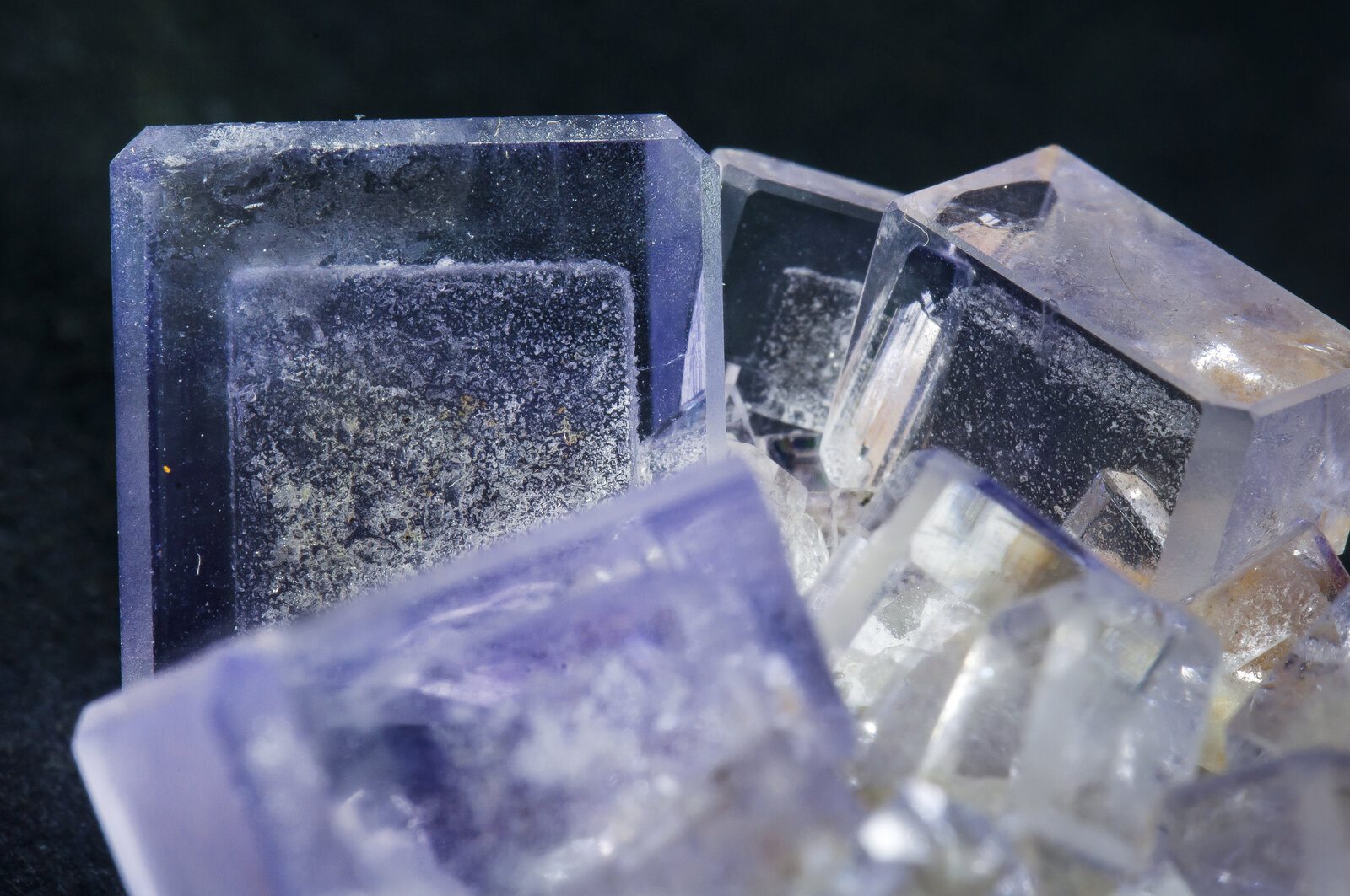 specimens/s_imagesAP9/Fluorite-NBX37AP9d2.jpg