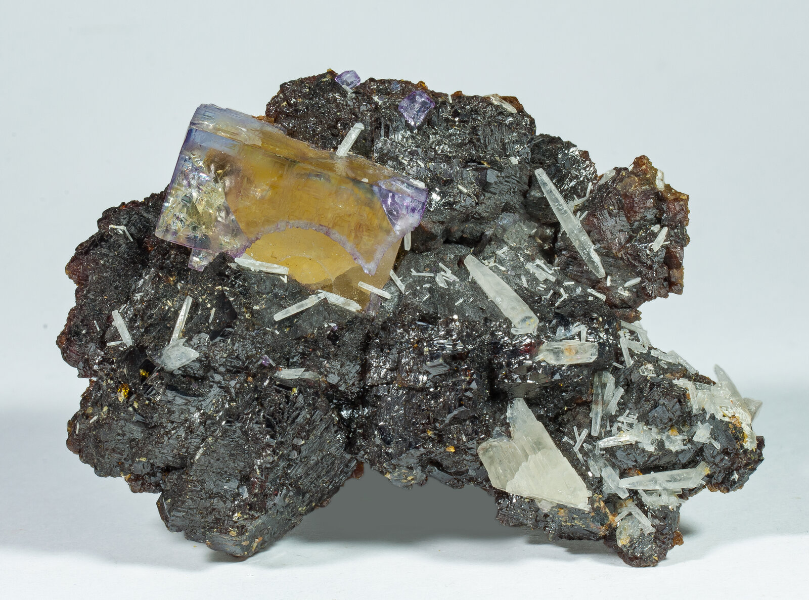 specimens/s_imagesAP9/Fluorite-TRB96AP9f.jpg