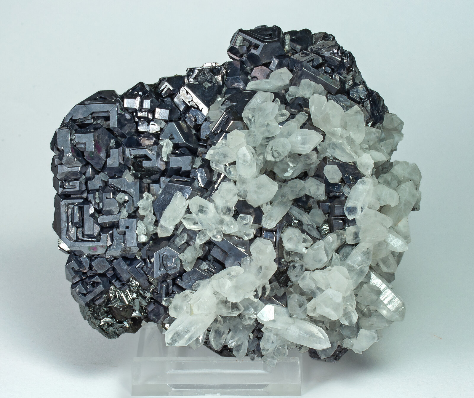 specimens/s_imagesAP9/Galena-ERB92AP9s.jpg