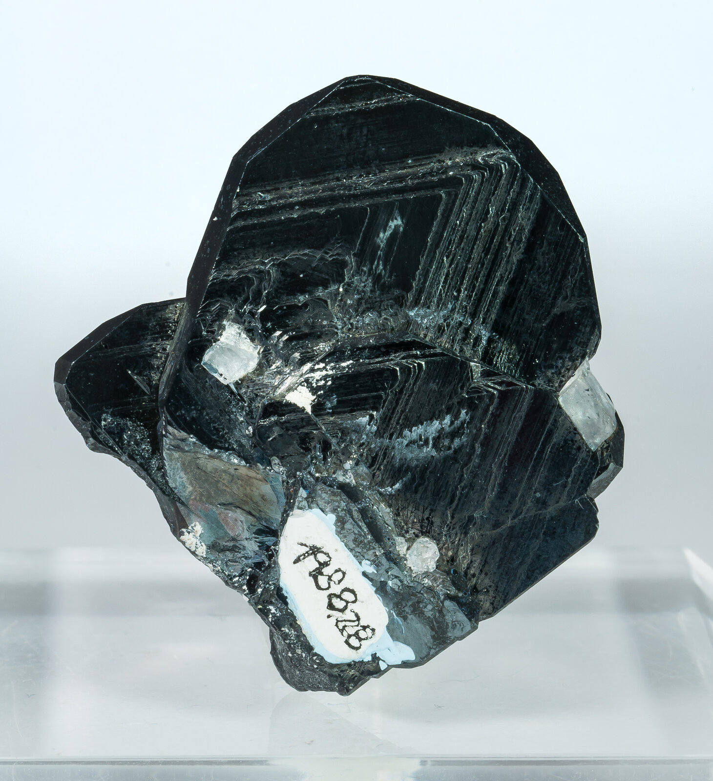 specimens/s_imagesAP9/Hematite-CFR86AP9r.jpg