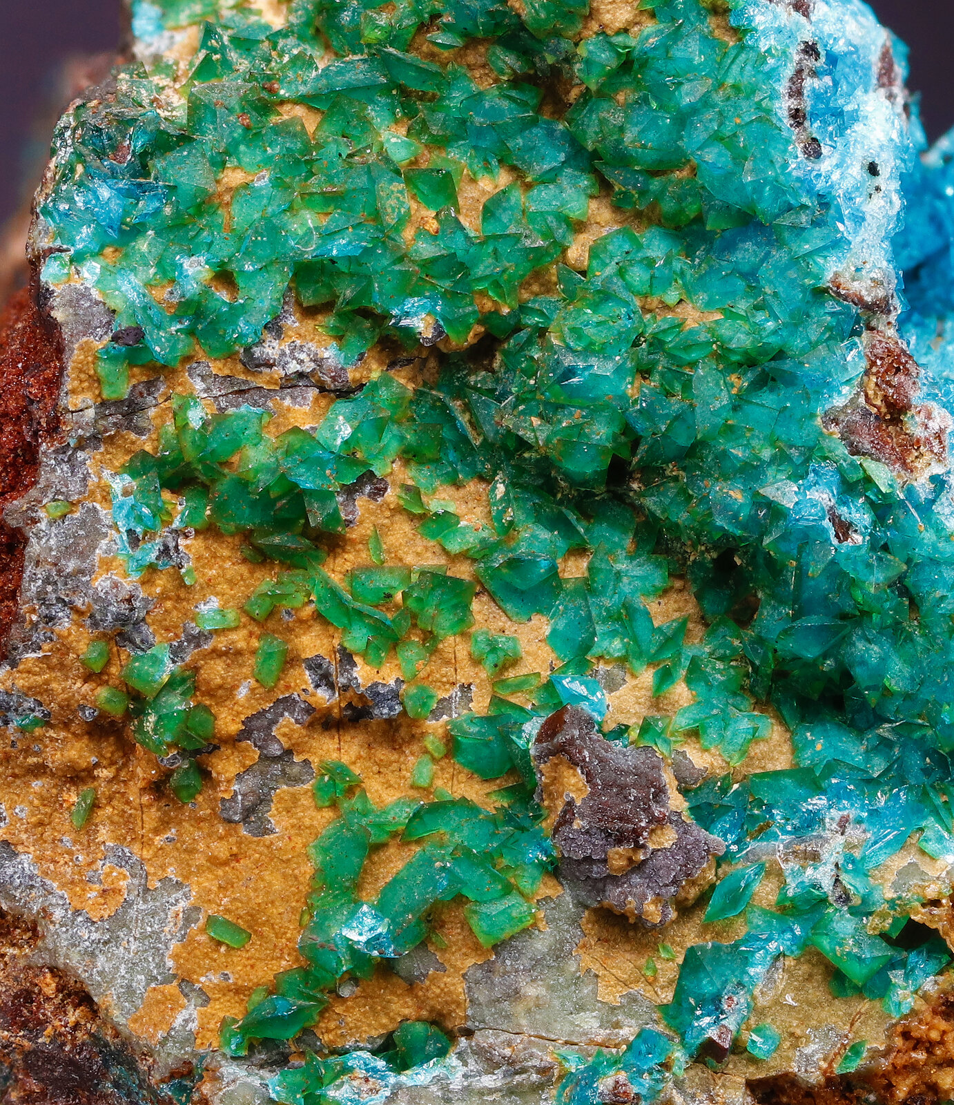 specimens/s_imagesAP9/Liroconite-EFG67AP9_4508_d.jpg