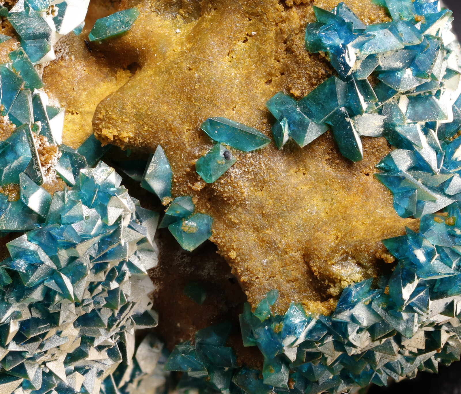 specimens/s_imagesAP9/Liroconite-TFG89AP9_4533_d.jpg