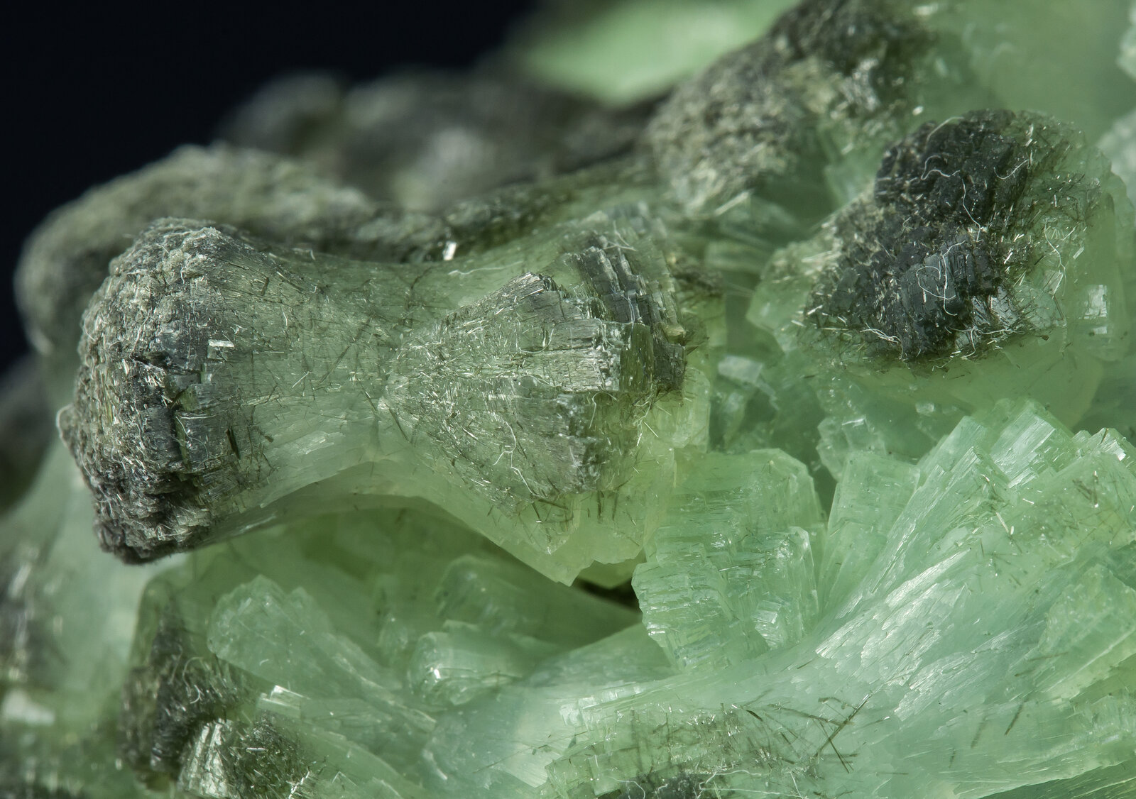 specimens/s_imagesAP9/Prehnite-TJD87AP9d.jpg