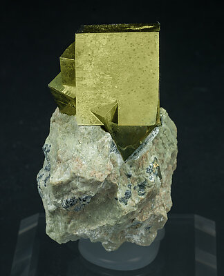 Pyrite. Front