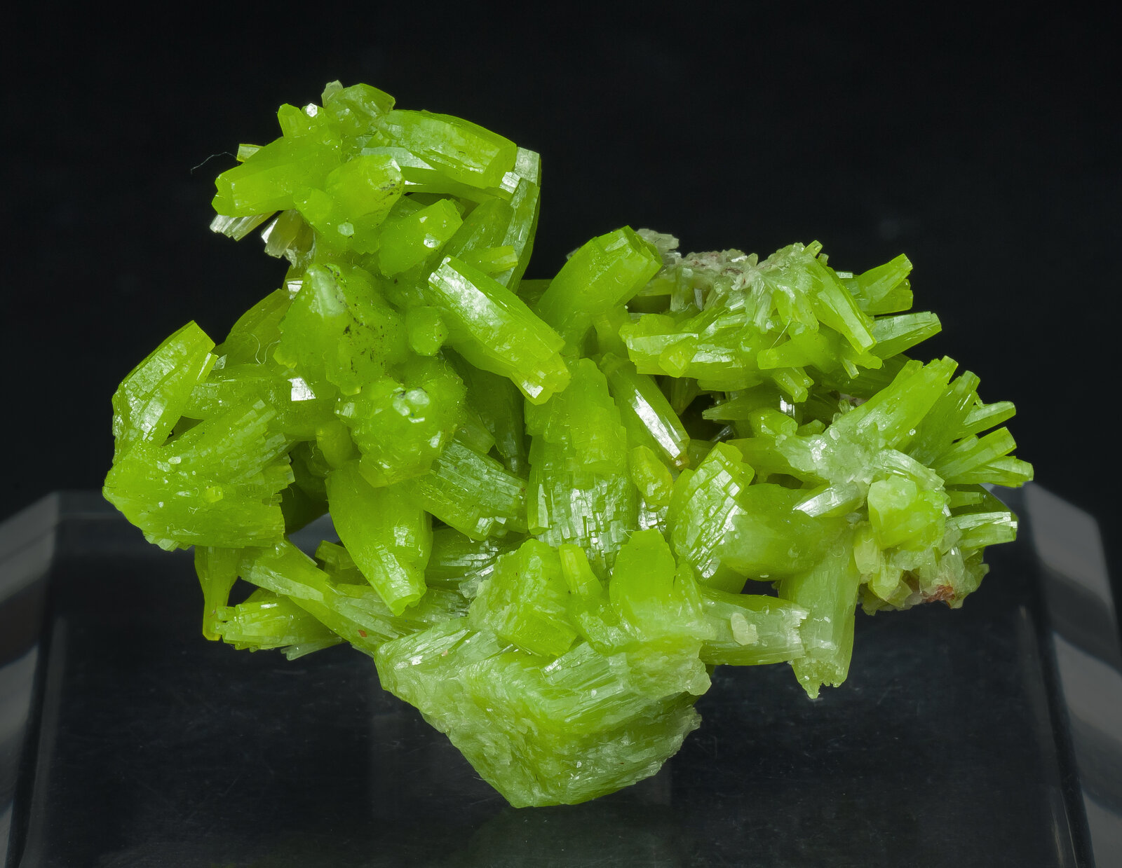 specimens/s_imagesAP9/Pyromorphite-CLM47AP9f.jpg