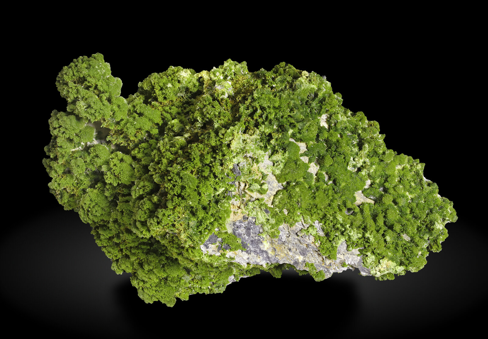 specimens/s_imagesAP9/Pyromorphite-TXA69AP9_4055_f.jpg