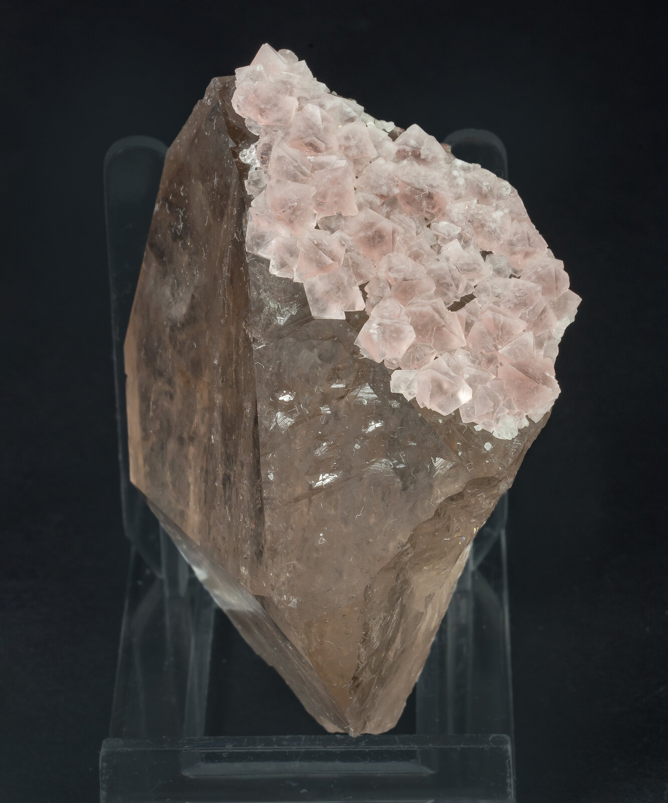 specimens/s_imagesAP9/Quartz-TCH92AP9s2.jpg