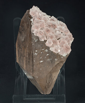 Fluorite (octahedral) with Quartz (variety smoky quartz). Side