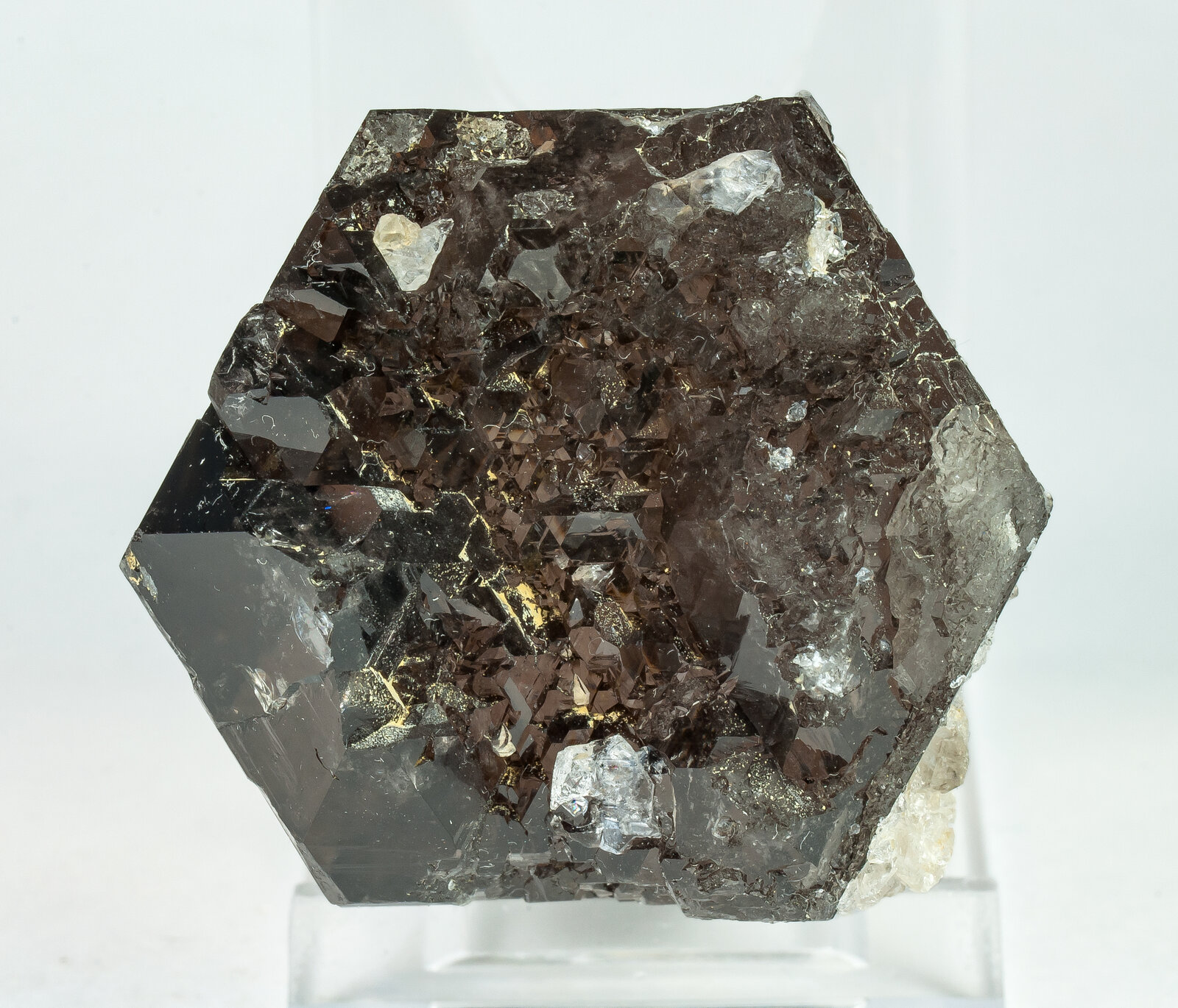 specimens/s_imagesAP9/Quartz-TJB51AP9b.jpg