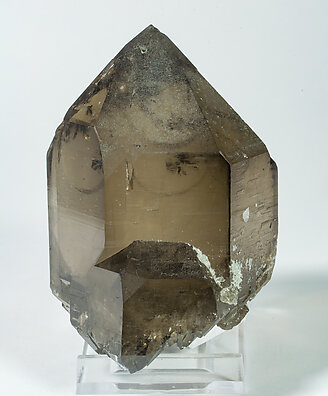 Quartz (doubly terminated variety smoky quartz) with Quartz. Rear