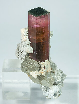 Elbaite-Schorl Series (variety rubellite) with Microcline, Albite and Quartz. Front