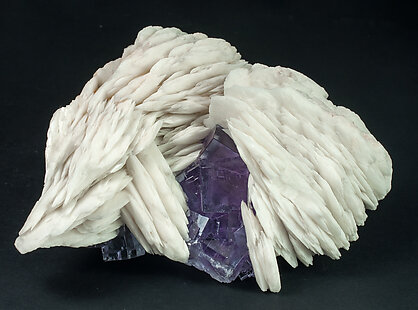 Baryte with Fluorite. Side