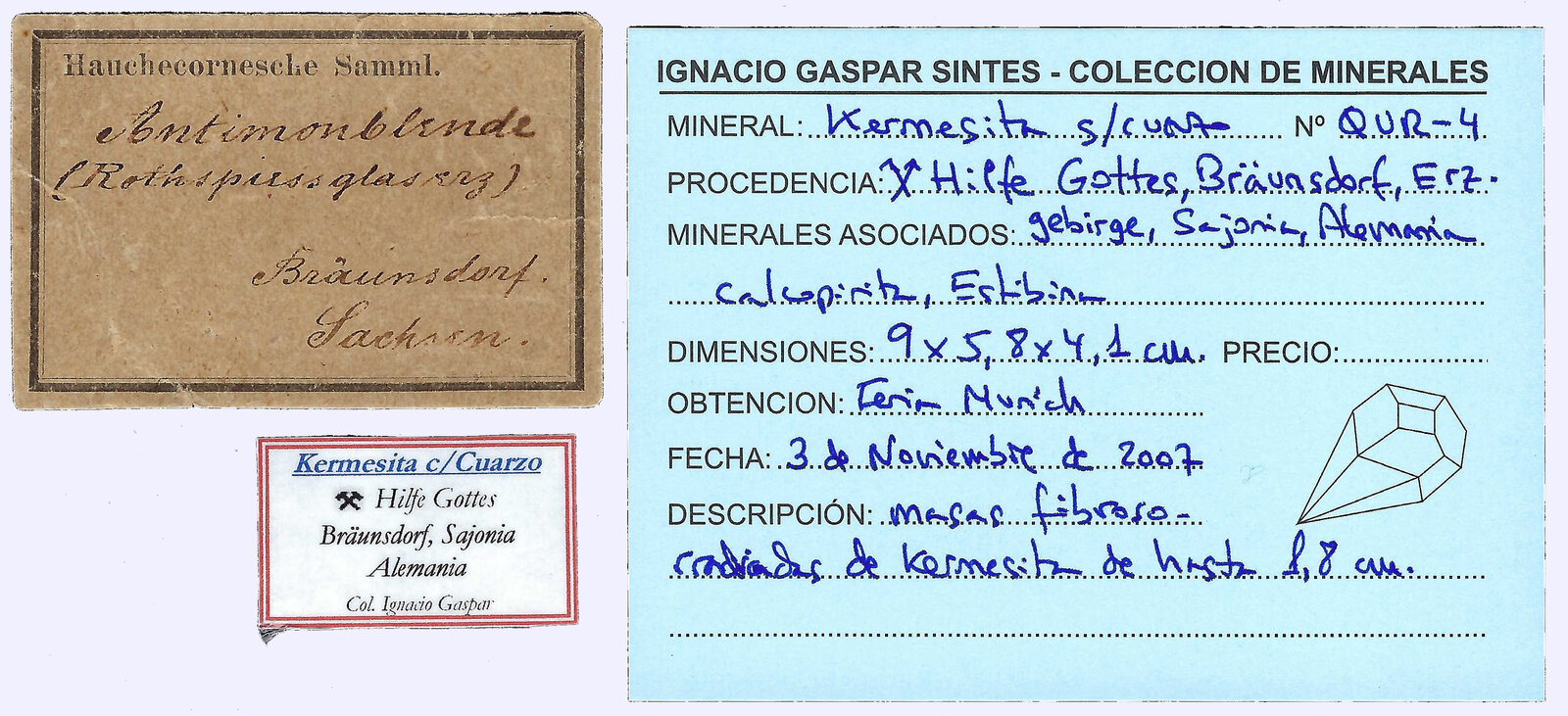 specimens/s_imagesAP9/SV2980NRF-etiquetes.jpg