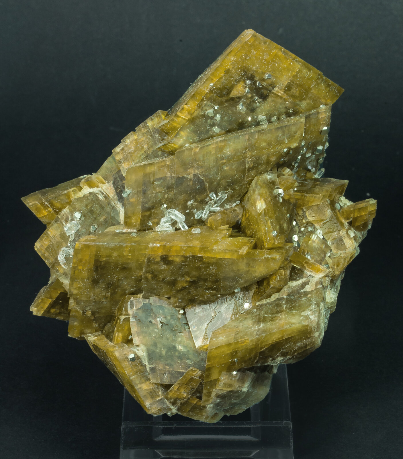 specimens/s_imagesAP9/Siderite-TFR88AP9f.jpg