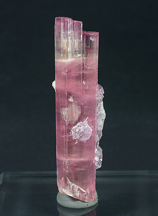 Elbaite (variety rubellite) with 'lepidolite' and Albite.