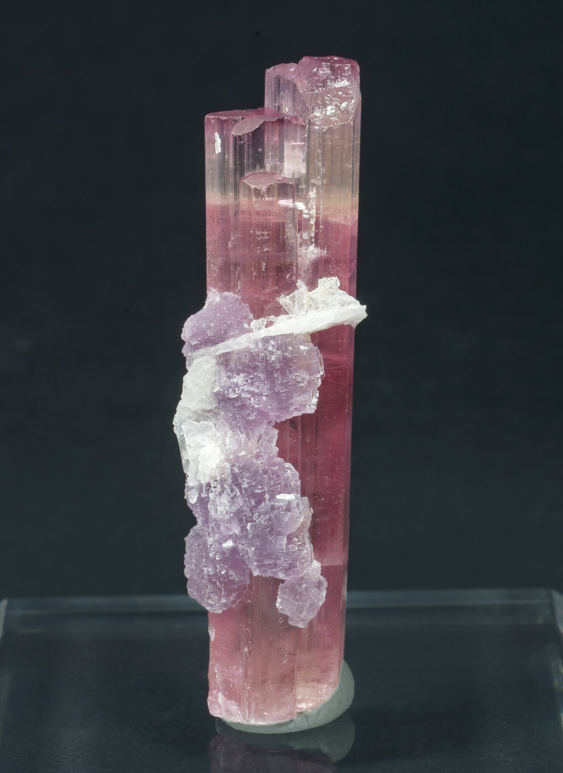 specimens/s_imagesAQ0/Elbaite-TXR89AQ0r.jpg