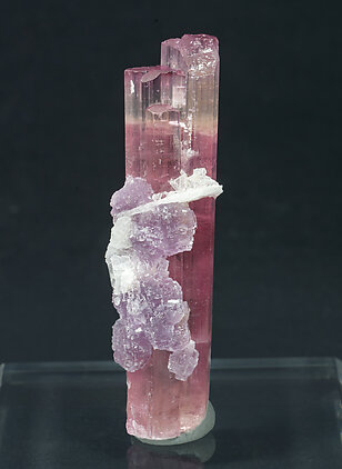 Elbaite (variety rubellite) with 'lepidolite' and Albite. Rear