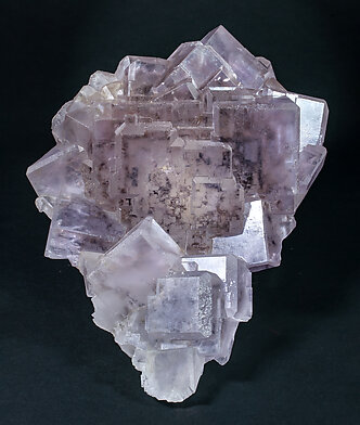 Fluorite with hydrocarbon inclusions. 