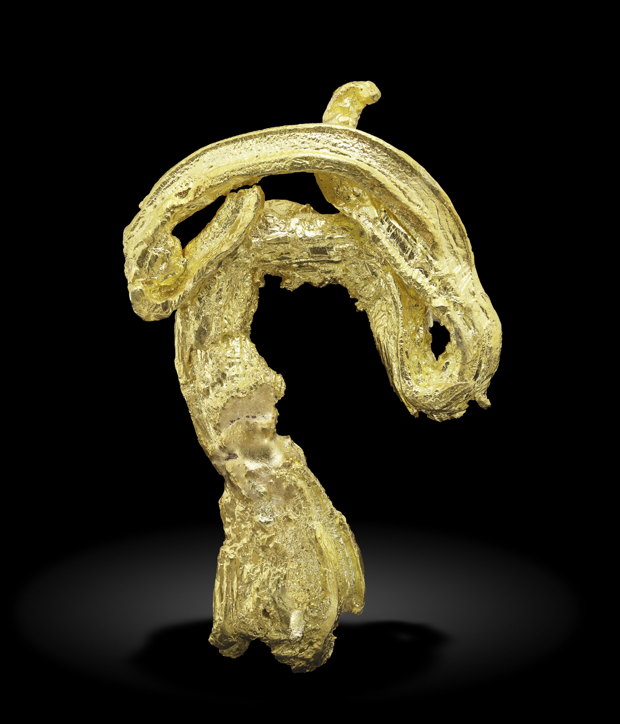 specimens/s_imagesAQ0/Gold-EGX70AQ0_6895_r.jpg