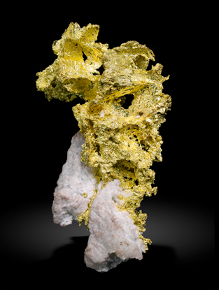 Gold with Quartz. Front / Photo: Joaquim Calln