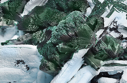 Kolwezite and Malachite after Co-rich Dolomite on Malachite and Chrysocolla after Baryte. Detail / Foto: Joaquim Calln