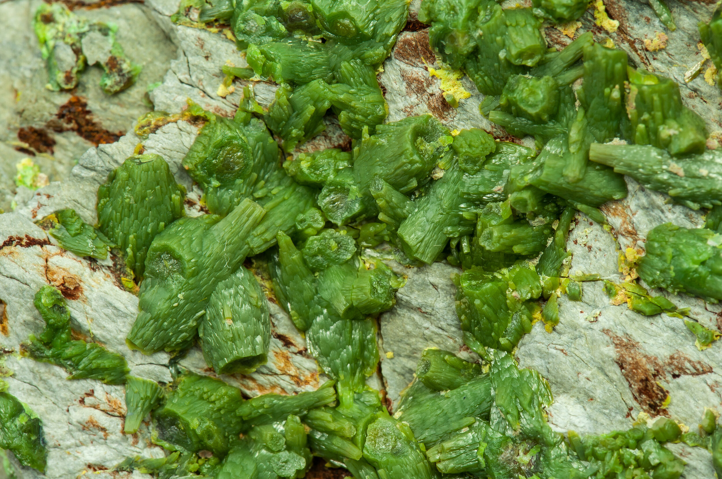 specimens/s_imagesAQ0/Pyromorphite-CXL96AQ0d.jpg