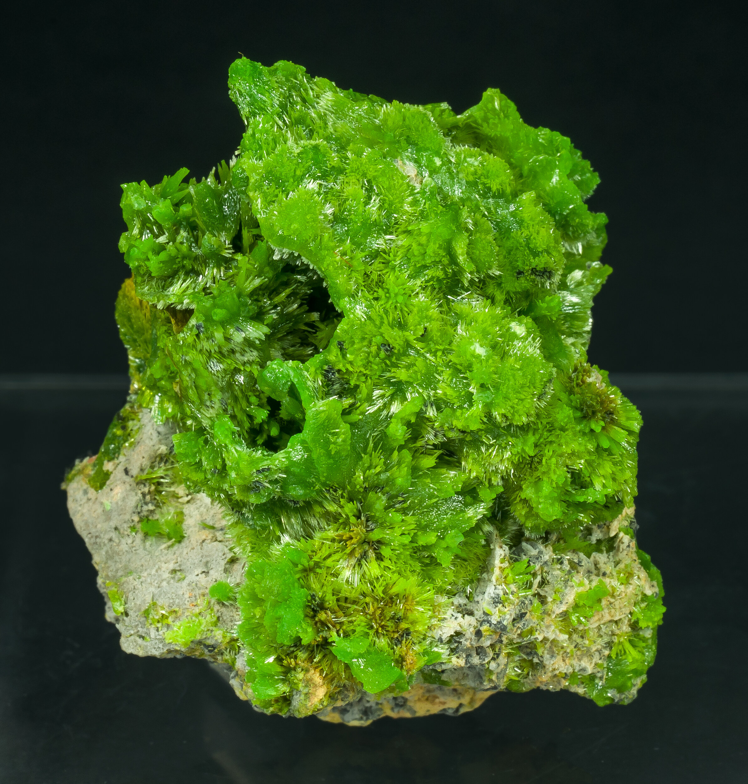 specimens/s_imagesAQ0/Pyromorphite-TBB69AQ0f.jpg