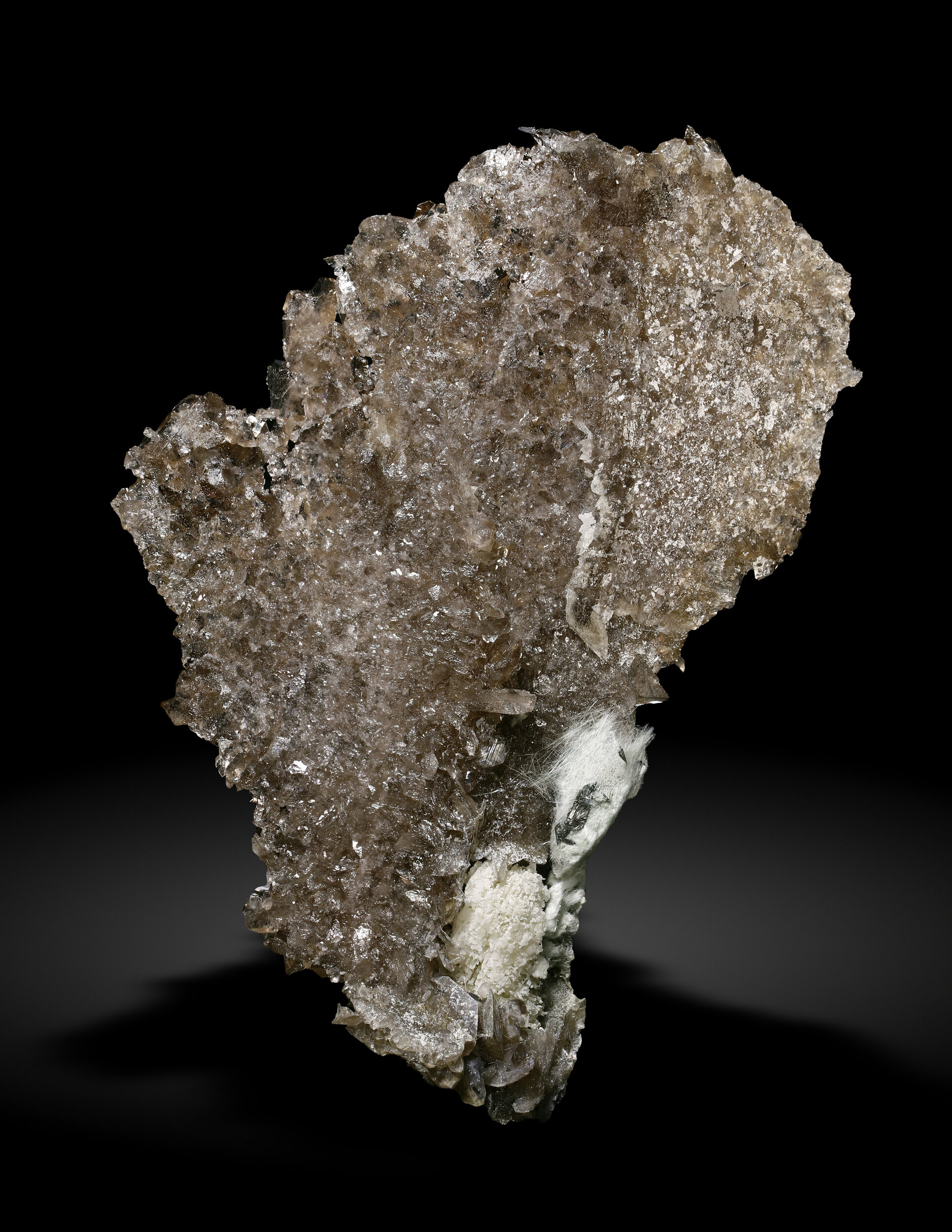 specimens/s_imagesAQ1/Axinite-EPX89AQ1_0477_r.jpg