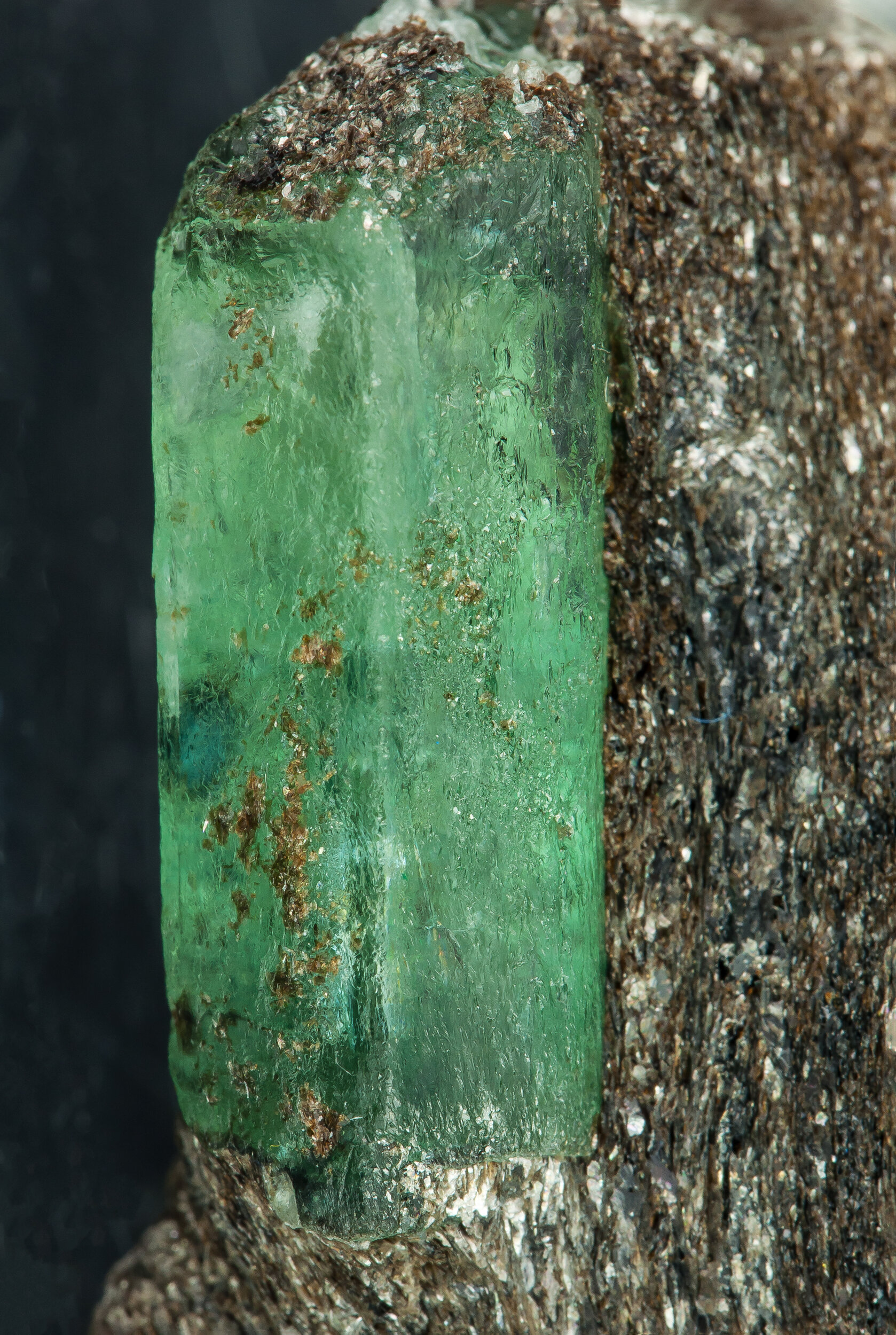 specimens/s_imagesAQ1/Beryl_emerald-ERP91AQ1d.jpg