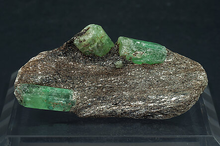 Beryl (variety emerald) with Phlogopite.