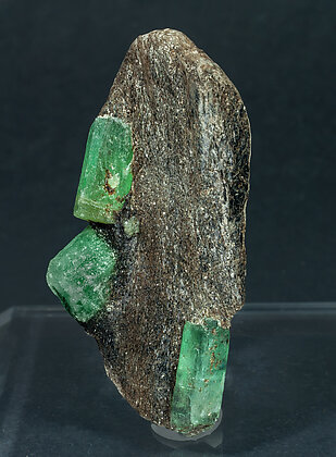 Beryl (variety emerald) with Phlogopite. Side