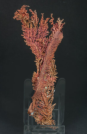 Copper with Cuprite. Rear