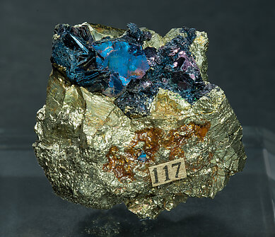 Covellite with Pyrite.