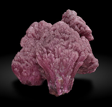 Elbaite-Schorl Series (variety 'mushroom').