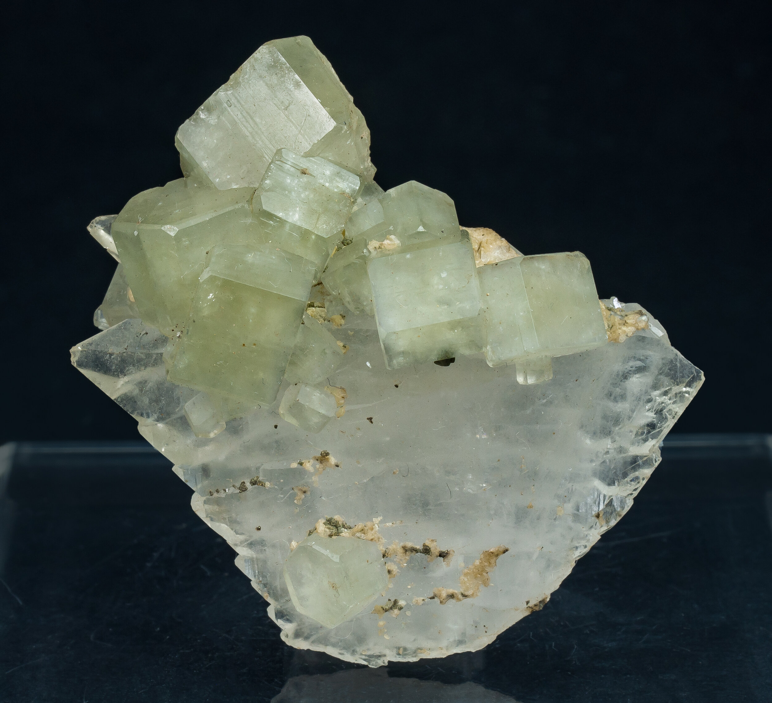 specimens/s_imagesAQ1/Fluorapatite-JFD244AQ1f.jpg