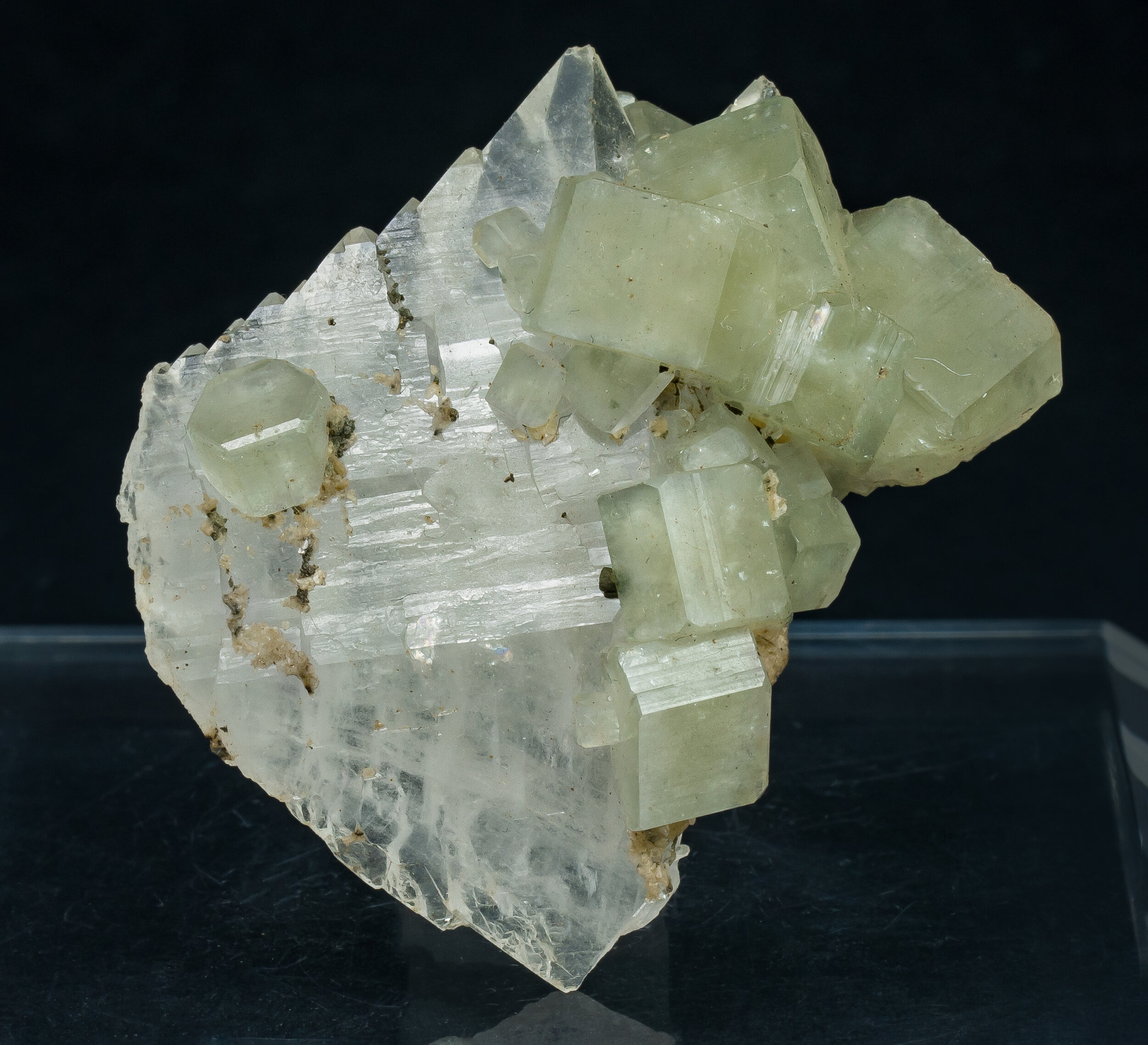 specimens/s_imagesAQ1/Fluorapatite-JFD244AQ1s.jpg