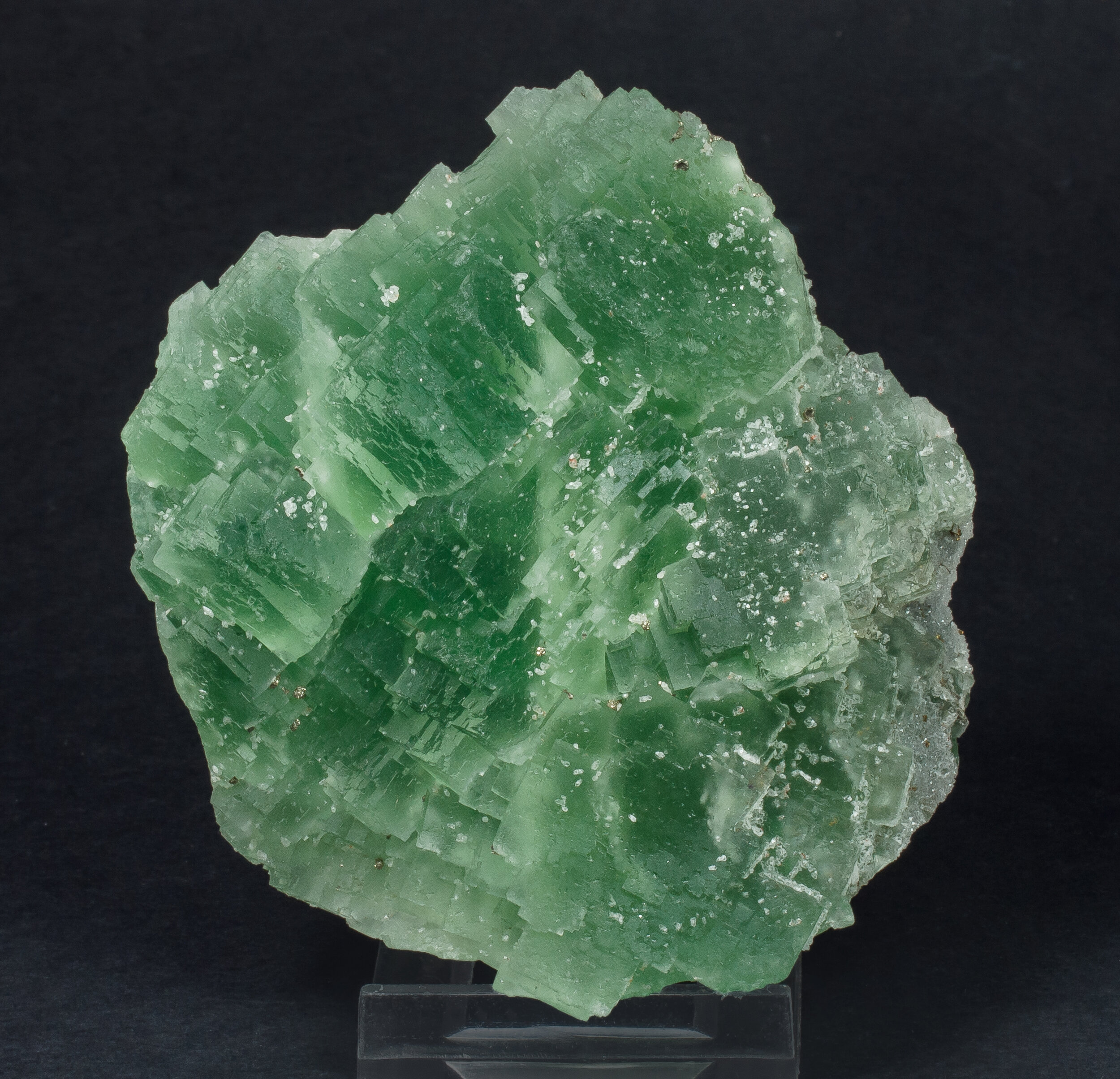 specimens/s_imagesAQ1/Fluorite-JFD247AQ1f.jpg